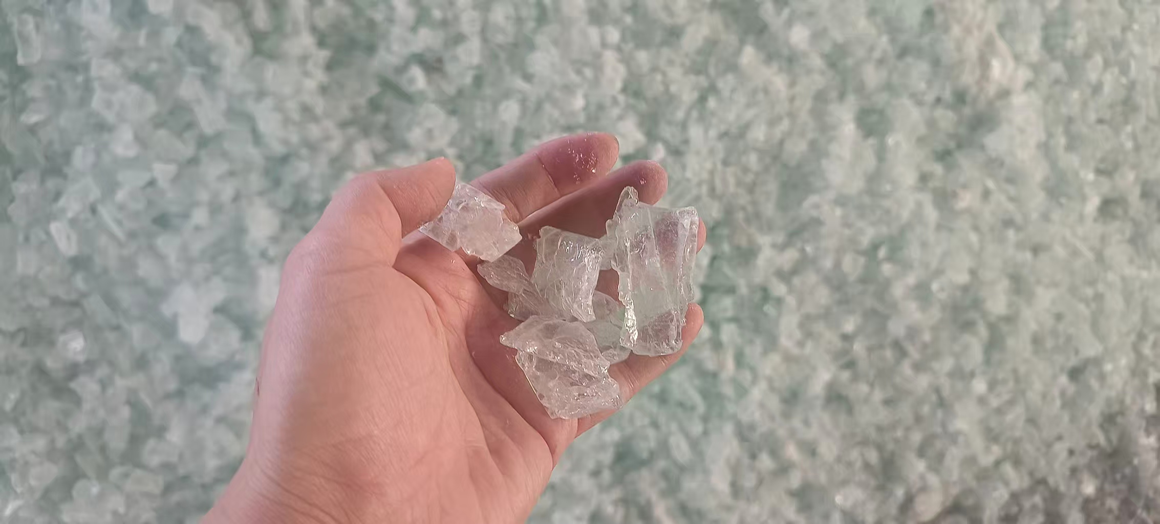 微信图片_20251129163805